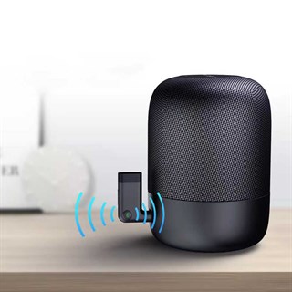Wiwu YP-05 Bluetooth Receiver Kablosuz Ses Alıcısı